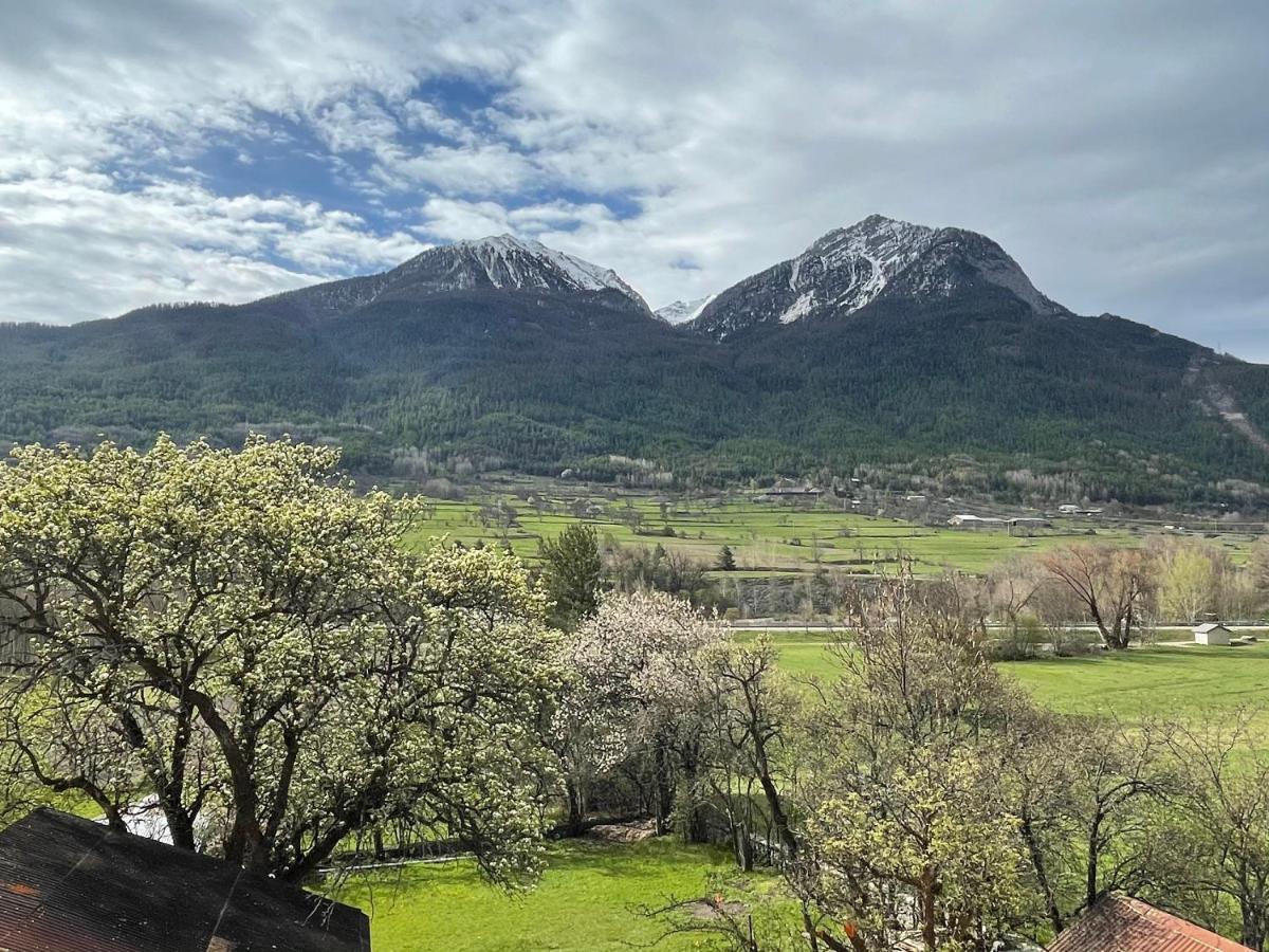 Appartement Dans Une Maison De Pays ブリアンソン エクステリア 写真